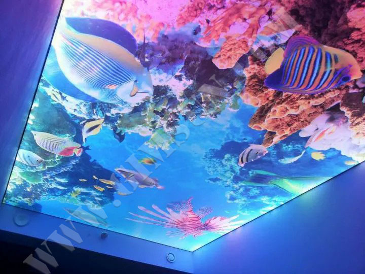 uv printing,inkjet printing,poster,display stand,lightbox,display props