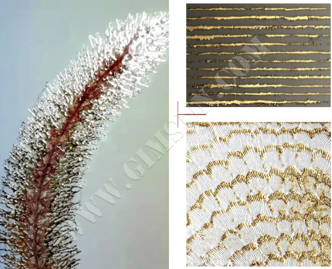 uv printing,inkjet printing,poster,display stand,lightbox,display props