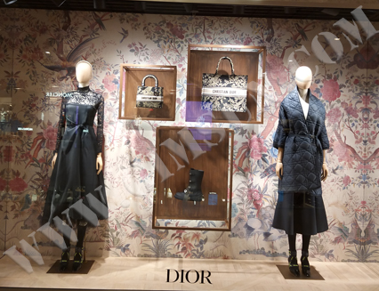 Dior 秋季橱窗展示