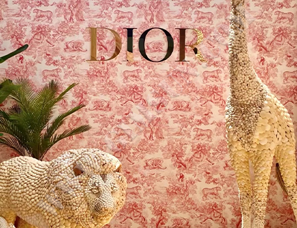 推广活动物料定制项目 (Dior)