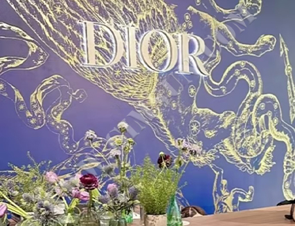 Dior 活动墙面装饰